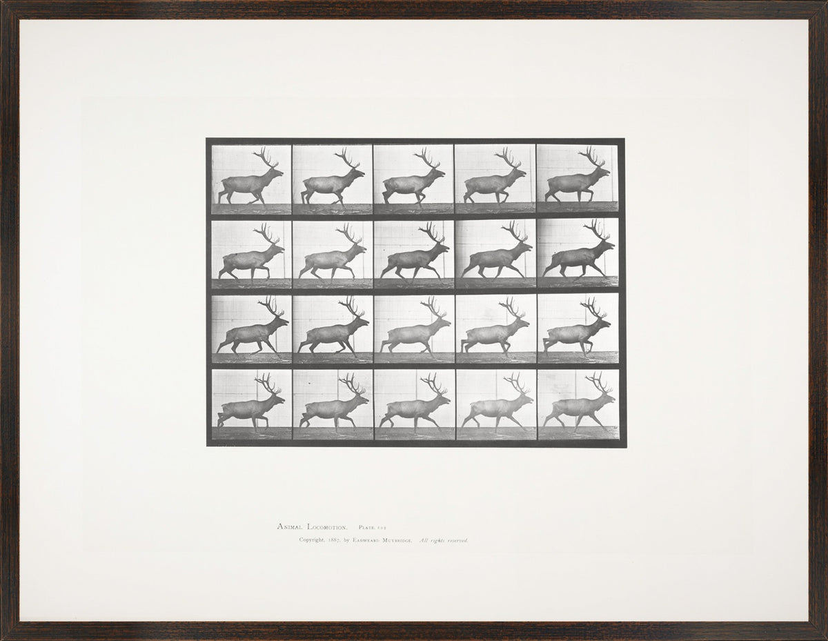 Muybridge Motion Studies Trio Bundle — architecture and travel fine art print shown from another angle