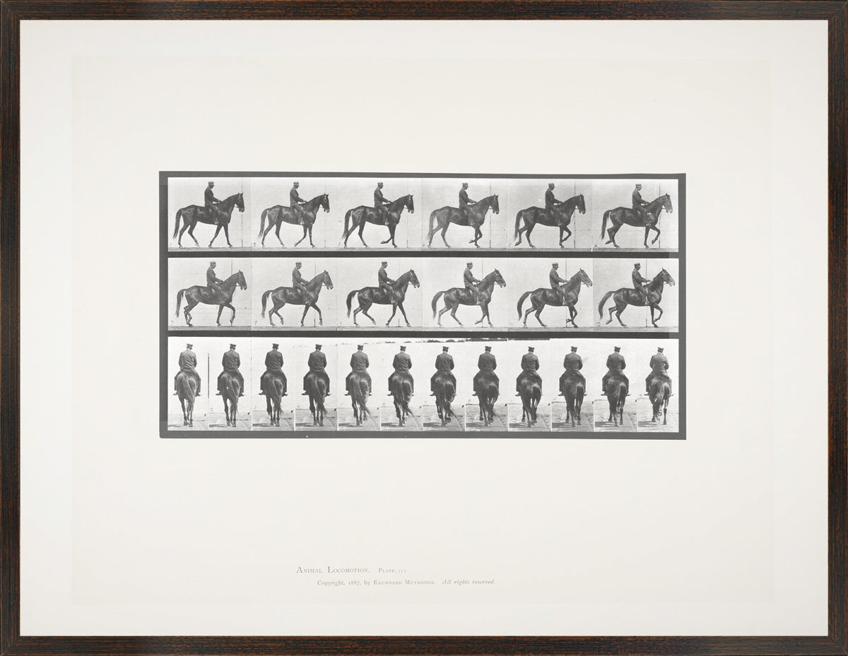 Muybridge Horse & Rider Pair Bundle — architecture and travel fine art print in neutral tones at Laurie Yapp Home