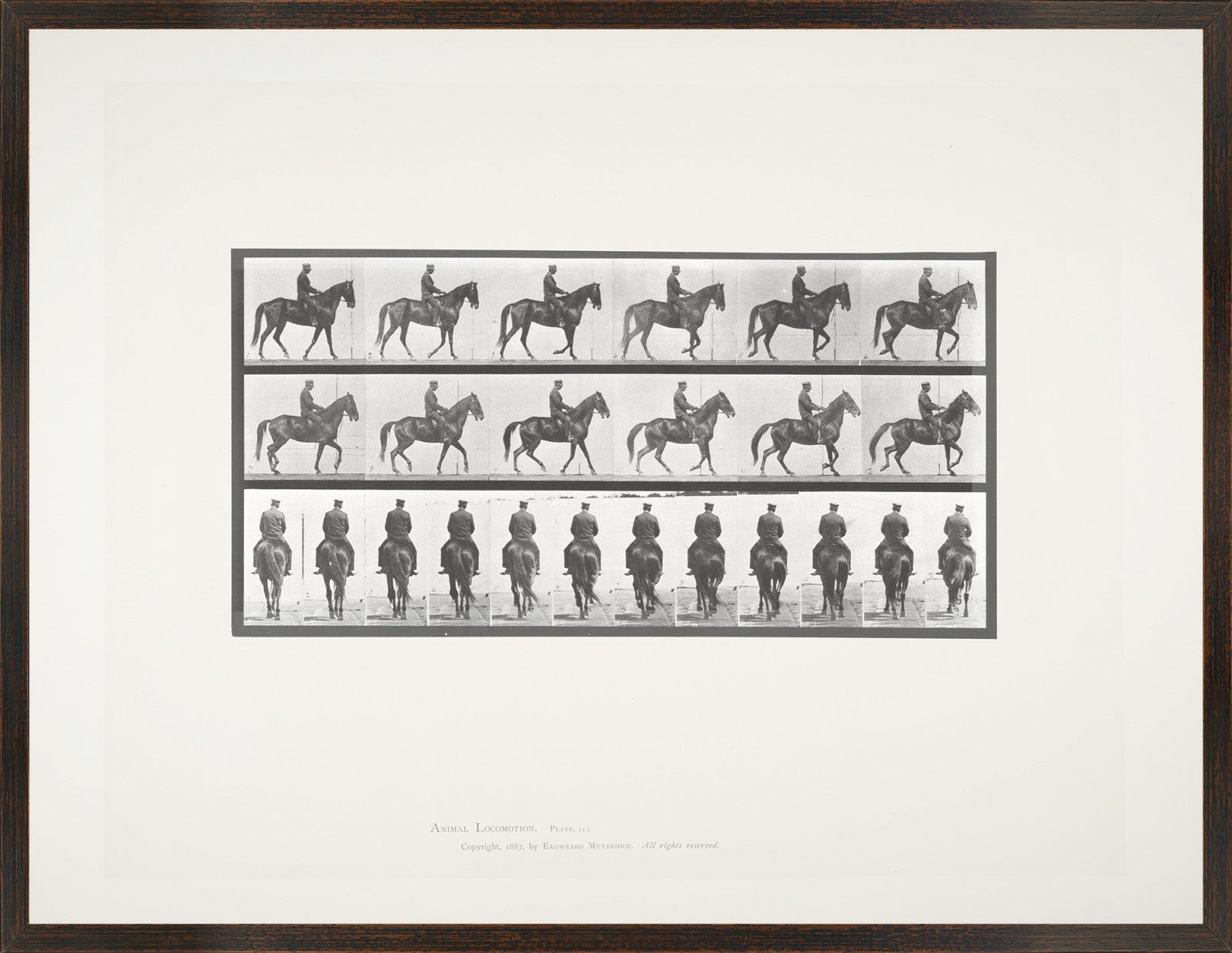 Muybridge Horse & Rider Pair Bundle
