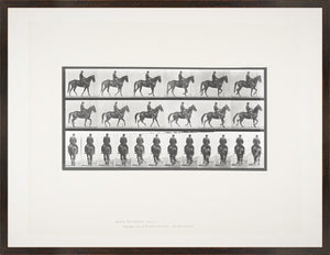 Muybridge Horse & Rider Pair Bundle — architecture and travel fine art print in neutral tones at Laurie Yapp Home