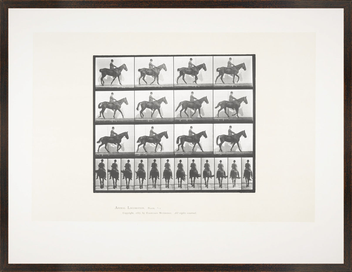 Muybridge Horse & Rider Pair Bundle — architecture and travel fine art print shown from another angle