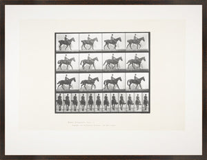 Muybridge Horse & Rider Pair Bundle — architecture and travel fine art print shown from another angle
