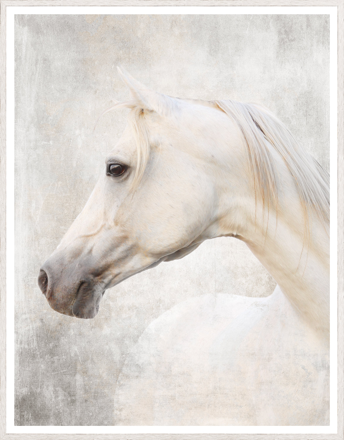Zebra & White Arabian Pair Bundle — nature and landscape fine art print shown from another angle