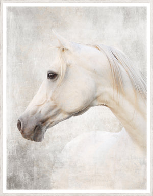 Zebra & White Arabian Pair Bundle — nature and landscape fine art print shown from another angle