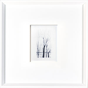 Tree Etching by Celadon, featuring delicate black tree outlines on white background, framed in white.