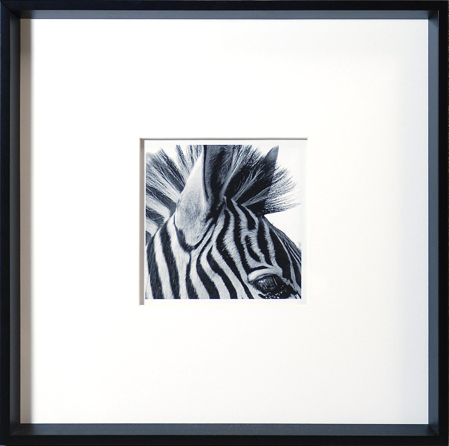 Zebra Detail — nature and landscape fine art print shown from another angle