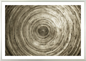 Construct – Bamboo Round wall art featuring concentric circular patterns in earthy tones.