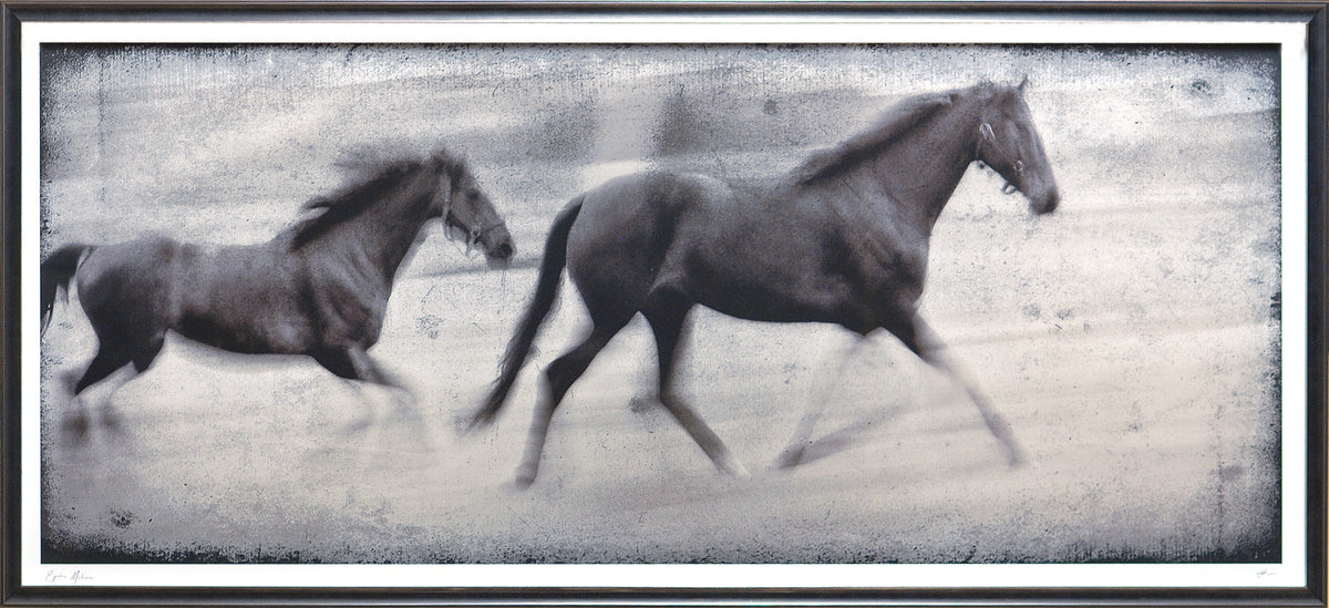 Equine Fantasy & Motion Pair Bundle — figurative fine art print shown from another angle