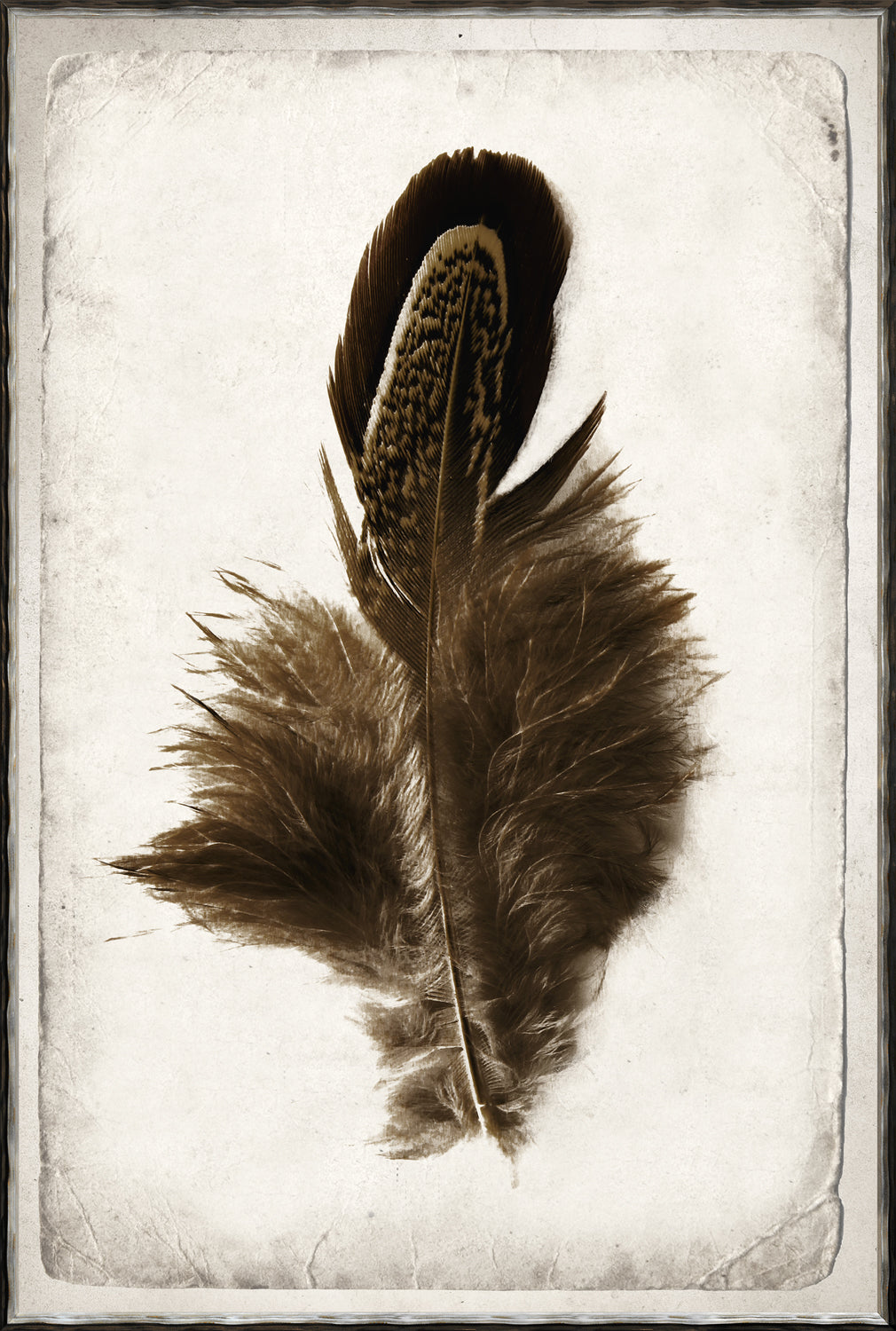Feather Study Quartet Bundle — abstract fine art print shown from another angle
