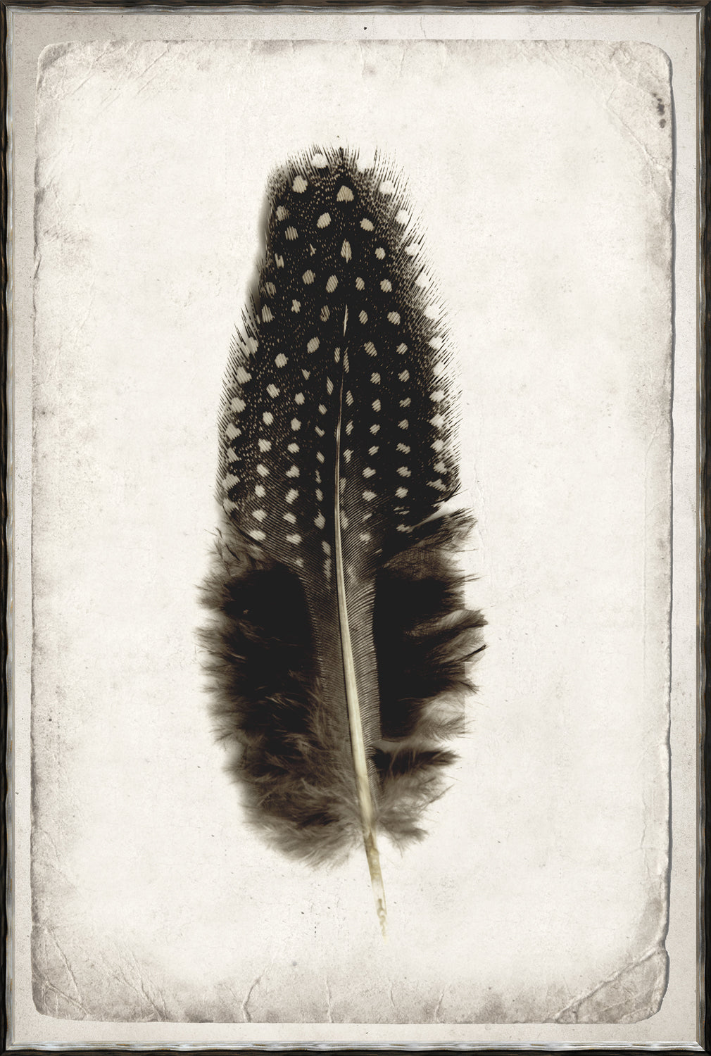 Feather Study Quartet Bundle — abstract fine art print shown from another angle