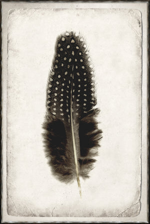 Feather Study Quartet Bundle — abstract fine art print shown from another angle