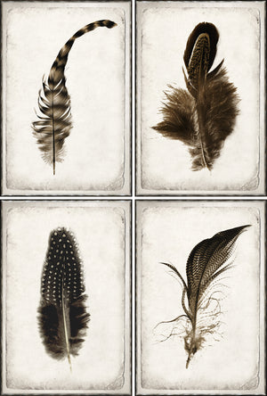 Statement Wildlife Trio Bundle