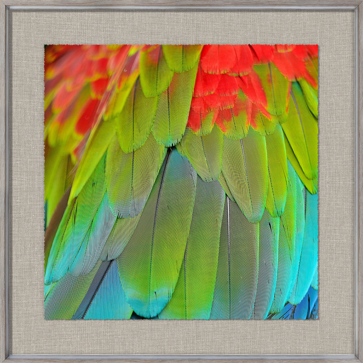 front view of Tropical Plumage III luxury Artwork