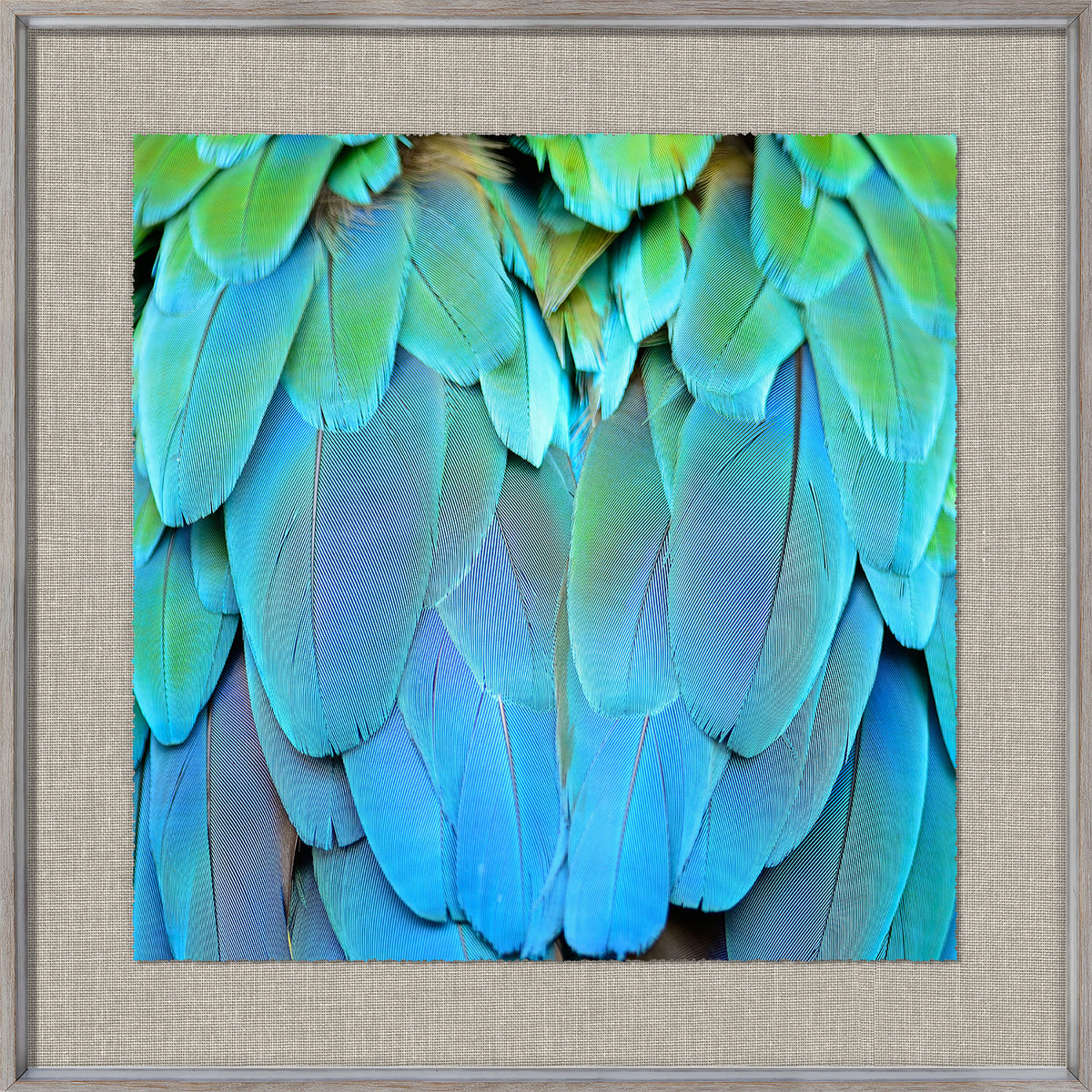front view of Tropical Plumage VI luxury Artwork