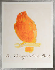 29 × 36 po