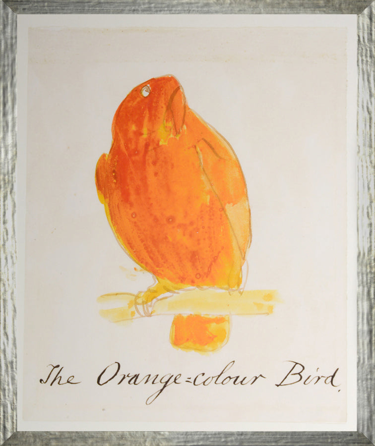 The Orange Colour Bird framed art print