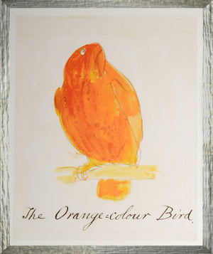 The Orange Colour Bird framed art print