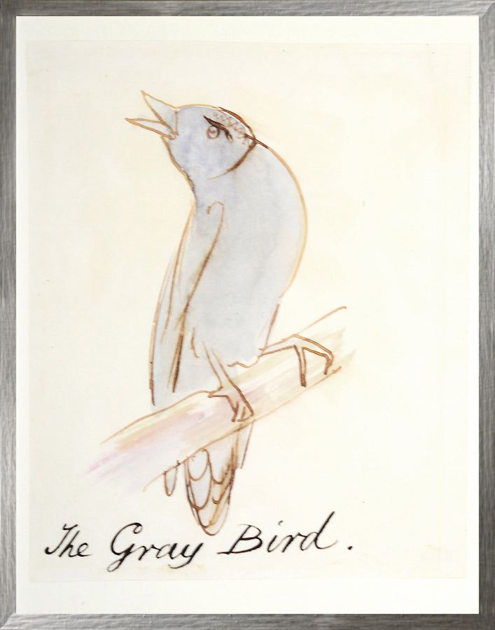 Edward Lear Bird Collection of Seven Bundle — figurative fine art print shown from another angle