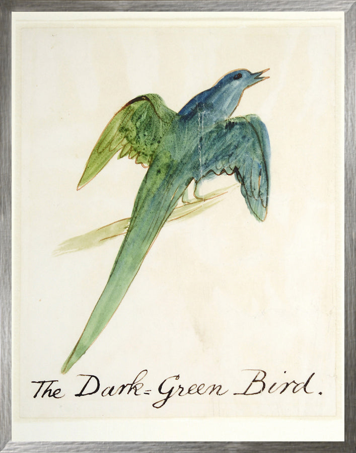 Edward Lear Bird Collection of Seven Bundle — figurative fine art print shown from another angle