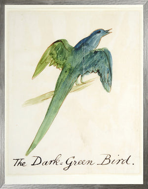Edward Lear Bird Collection of Seven Bundle — figurative fine art print shown from another angle