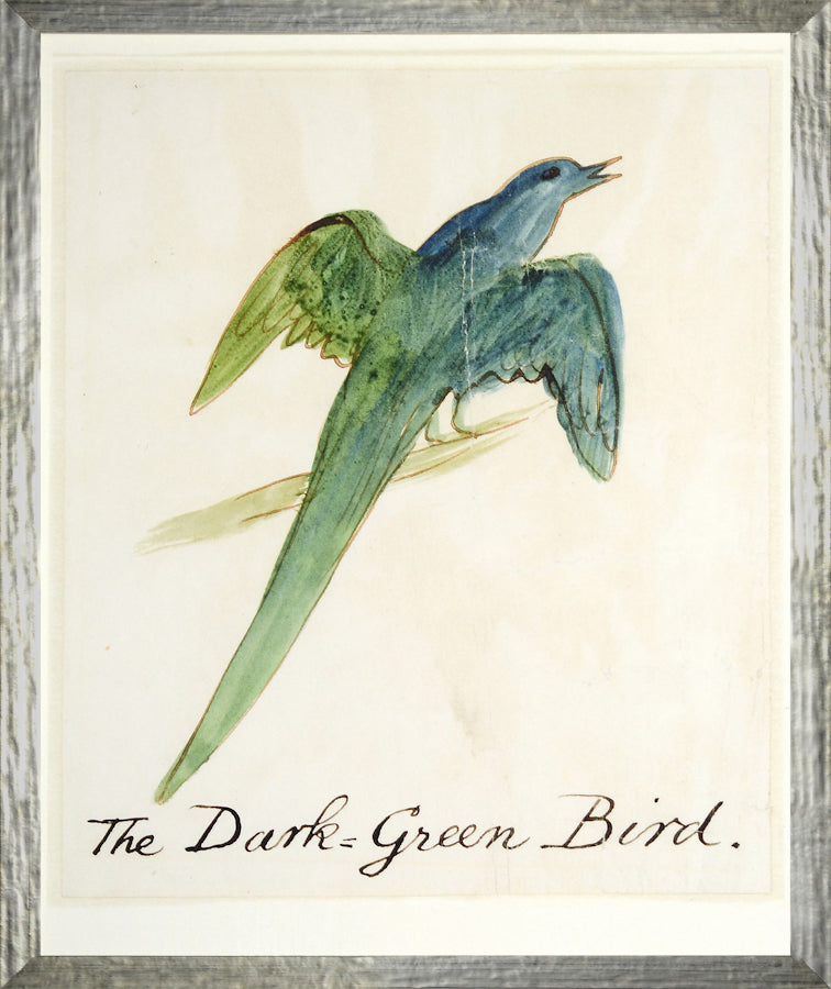 The Dark Green Bird framed art print