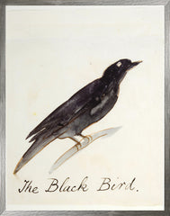 73.66 × 91.44 cm