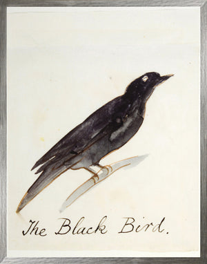 Lear Birds Warm Trio Bundle