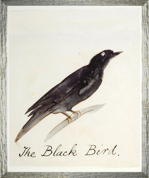 The Black Bird framed art print