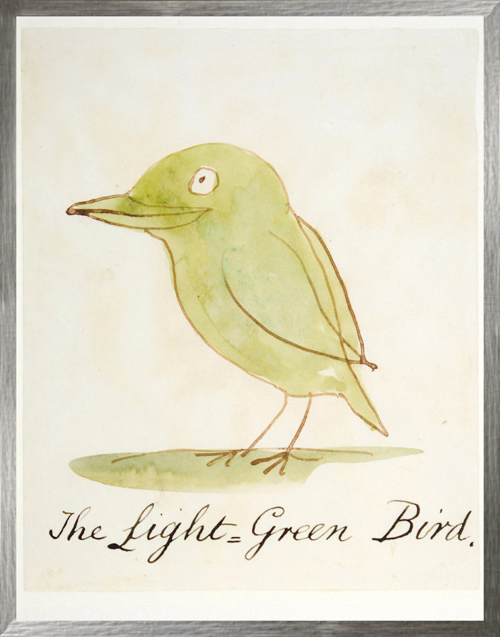 Lear Birds Cool Trio Bundle