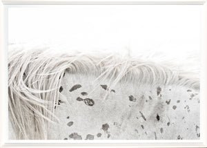 Appaloosa — nature and landscape fine art print shown from another angle