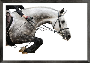 Equestrian Detail Trio Bundle