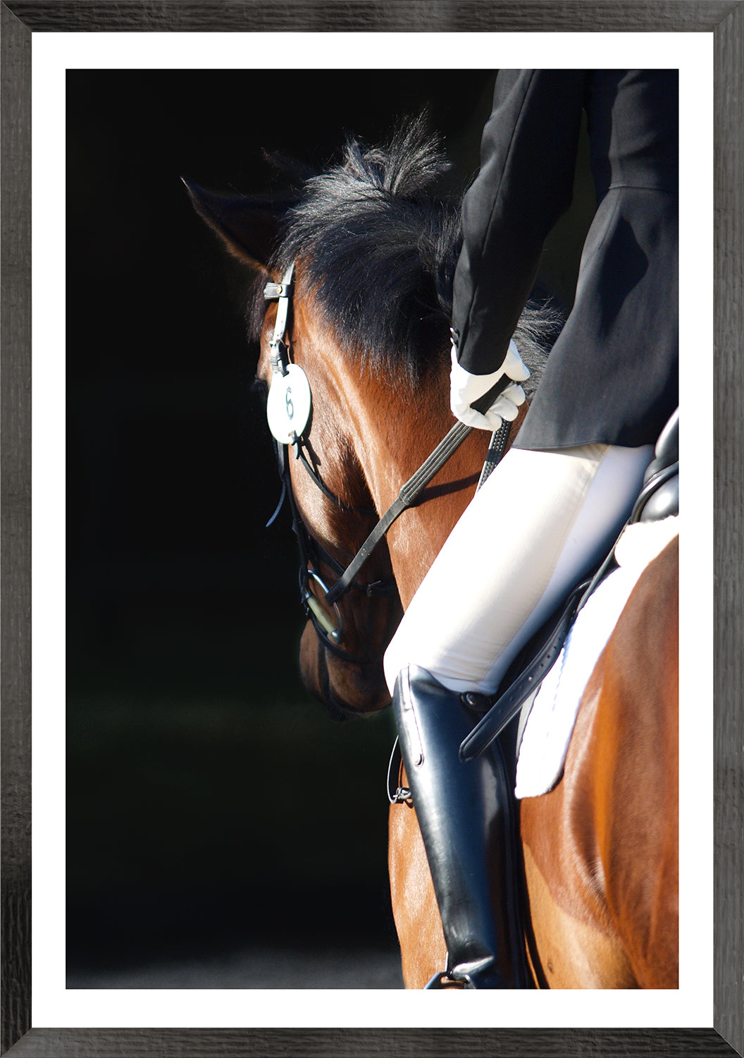 Equestrian Detail Trio Bundle