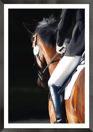 Equestrian Detail Trio Bundle