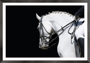 Equestrian Detail IV — nature and landscape fine art print in neutral tones at Laurie Yapp Home