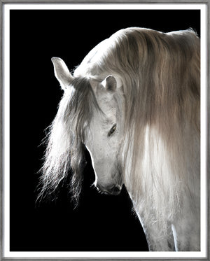 Mystical Beauty — nature and landscape fine art print shown from another angle
