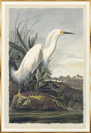 White Egret — nature and landscape fine art print in neutral tones at Laurie Yapp Home