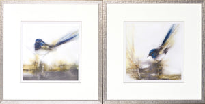 Little Blue S/2 — nature and landscape fine art print in cool tones at Laurie Yapp Home