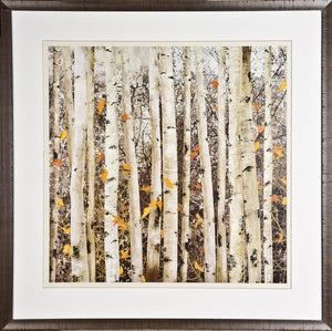 Serene Union wall art featuring white birch trees with orange leaves in a natural setting