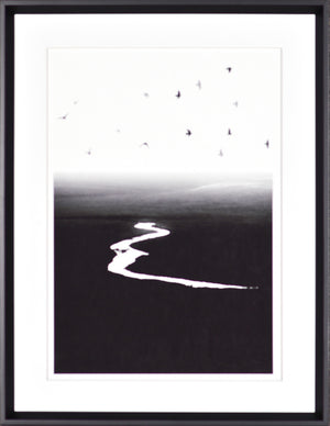 Silver Stream wall art featuring a black and white river scene with birds in flight.