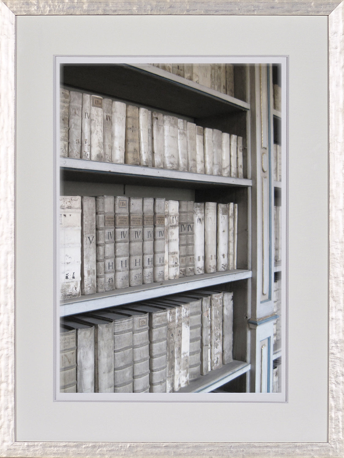 Timeworn Details IX wall art featuring aged books on shelves in muted tones