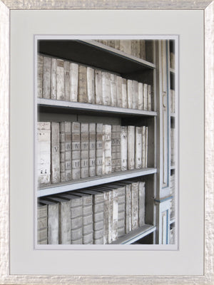 Timeworn Details IX wall art featuring aged books on shelves in muted tones