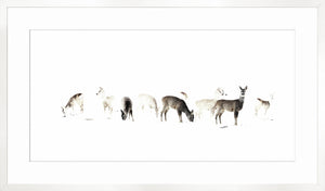 The Gathering — nature and landscape fine art print shown from another angle
