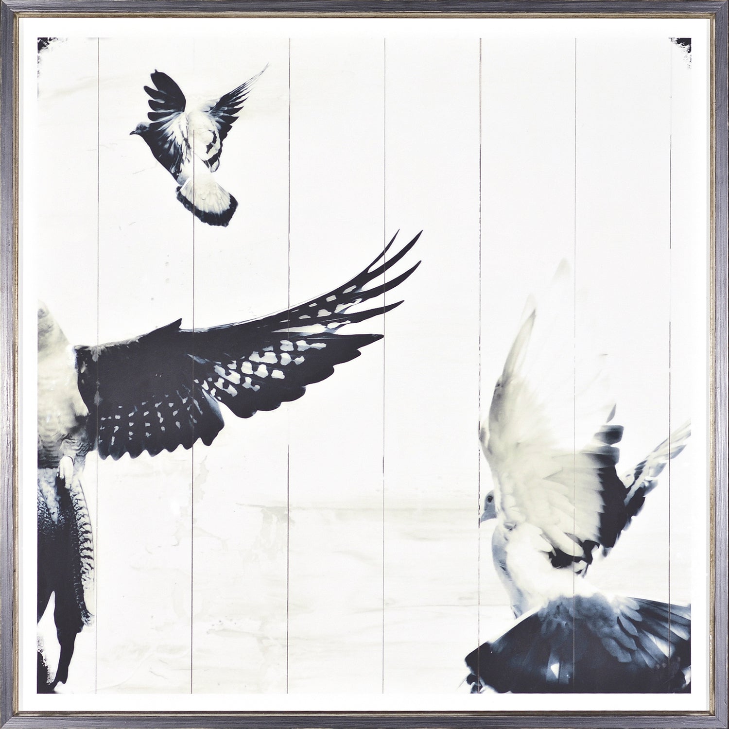 Mid Flight I — nature and landscape fine art print in neutral tones at Laurie Yapp Home