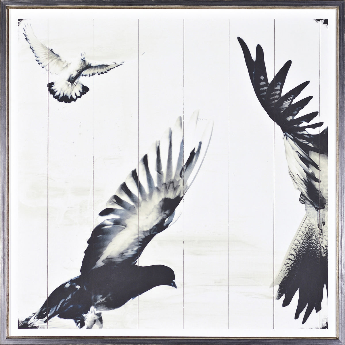Mid Flight II — nature and landscape fine art print in neutral tones at Laurie Yapp Home