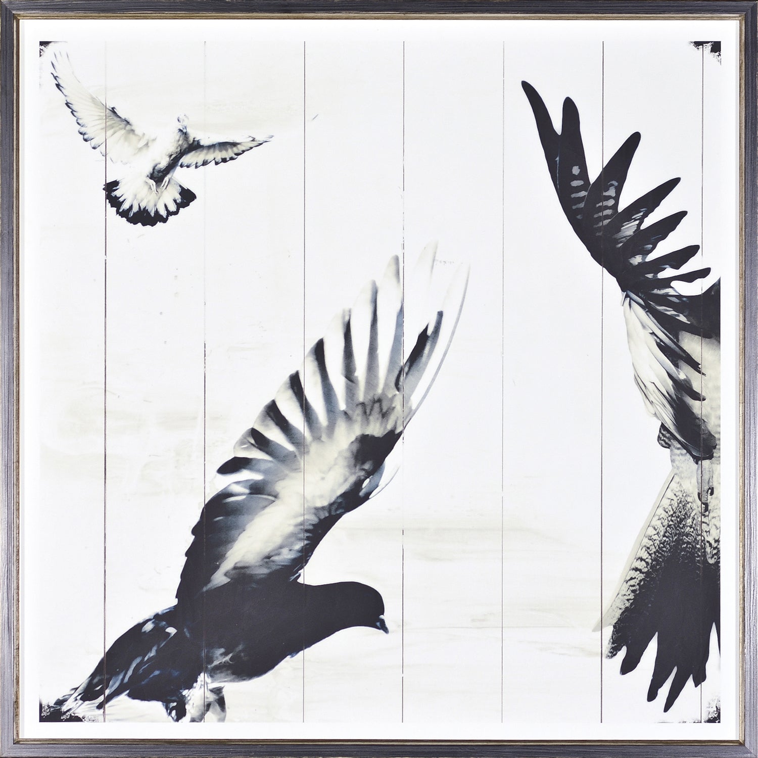 Mid Flight II — nature and landscape fine art print in neutral tones at Laurie Yapp Home