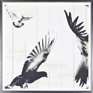Mid Flight II — nature and landscape fine art print in neutral tones at Laurie Yapp Home