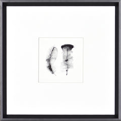 43,82 × 43,82 cm – Cadre noir