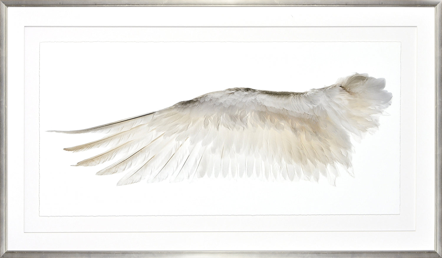 Wings Of A Feather I framed art print, no gild, 55.25 × 31.25 in