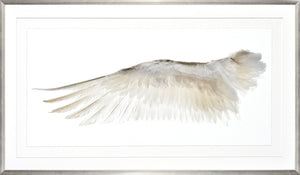 Wings Of A Feather I framed art print, no gild, 55.25 × 31.25 in