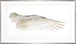 Wings Of A Feather II framed art print, no gild, 55.25 × 31.25 in